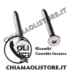 Viti Fissaggio Placca Inox