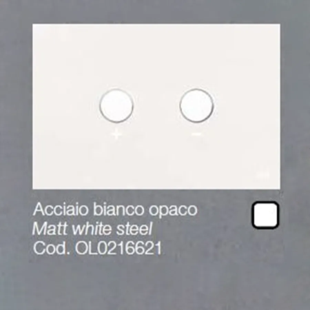Placca OLI per Cassetta Acciaio bianco opaco Blink 0216621